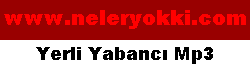 Neleryokki.com size yeter